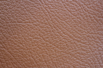 SO-0044の写真イメージ11