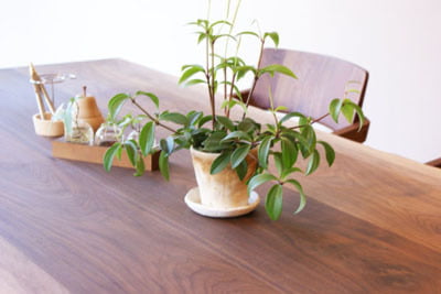 TA-0121商品イメージ