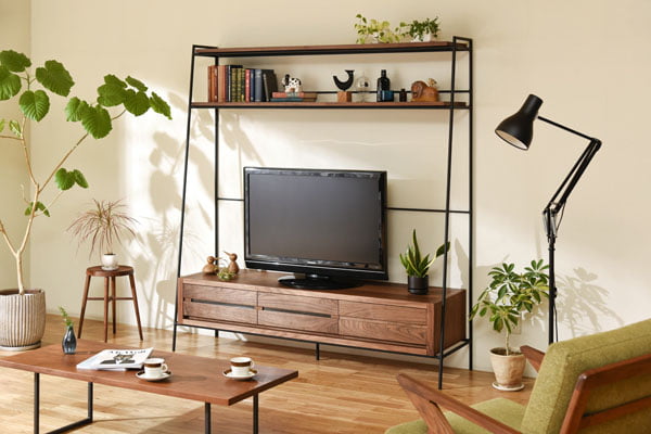 TV-0001の写真イメージ8