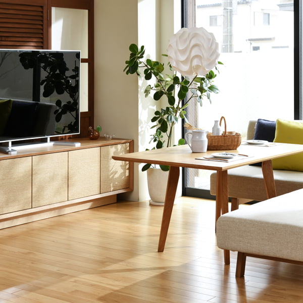 TV-0007の写真イメージ1