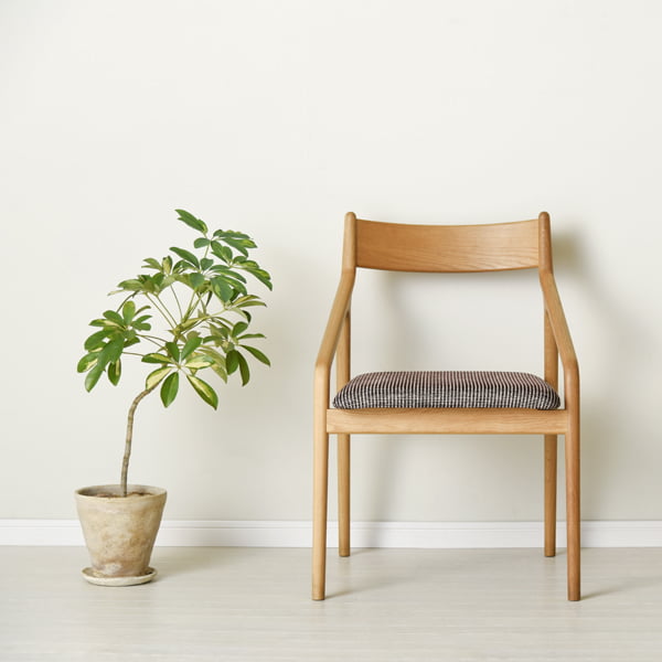 CH-0025の写真イメージ5