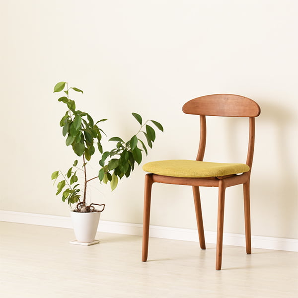 TA-0809におすすめのコーディネートアイテムCH-0035