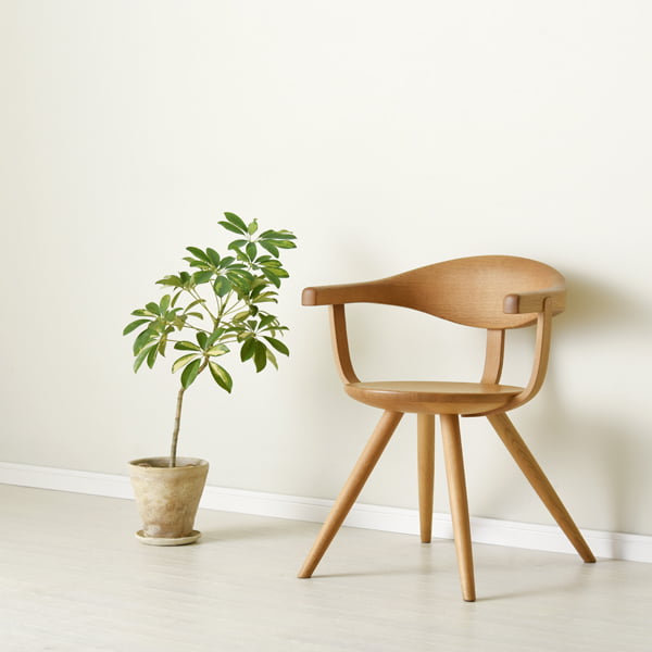 CH-0051の写真イメージ1