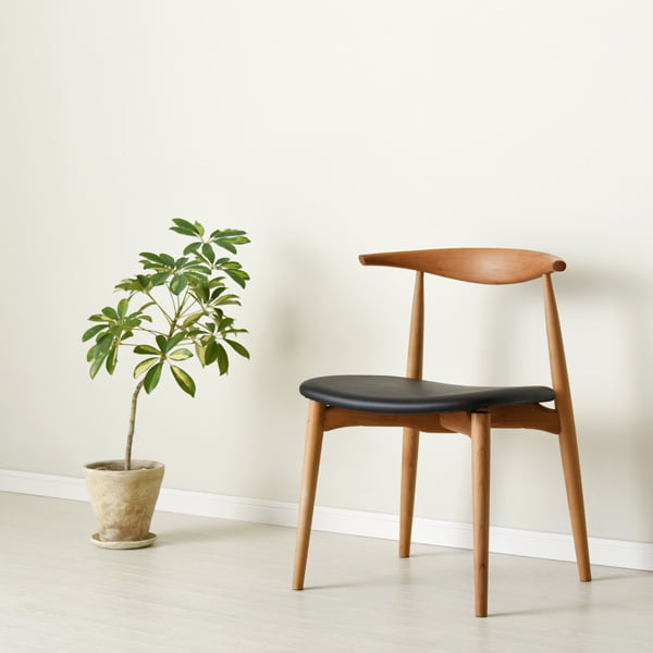 CH-0068の写真イメージ1