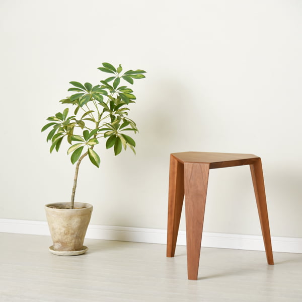 CH-0111の写真イメージ2