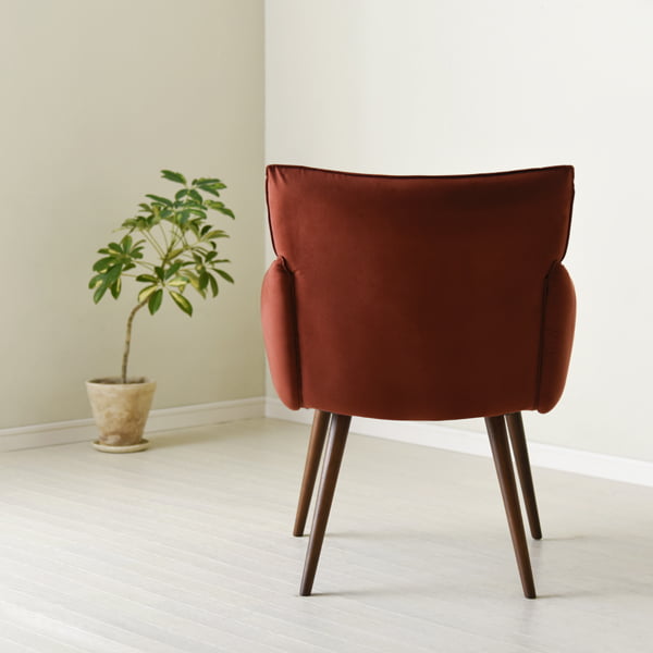 CH-0222の写真イメージ4