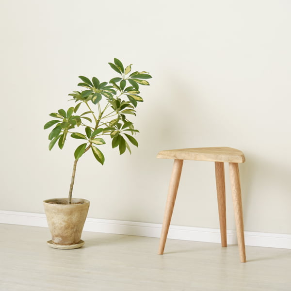 CH-0238の写真イメージ2