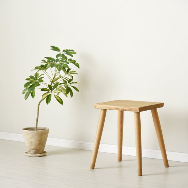 CH-0239の写真イメージ2