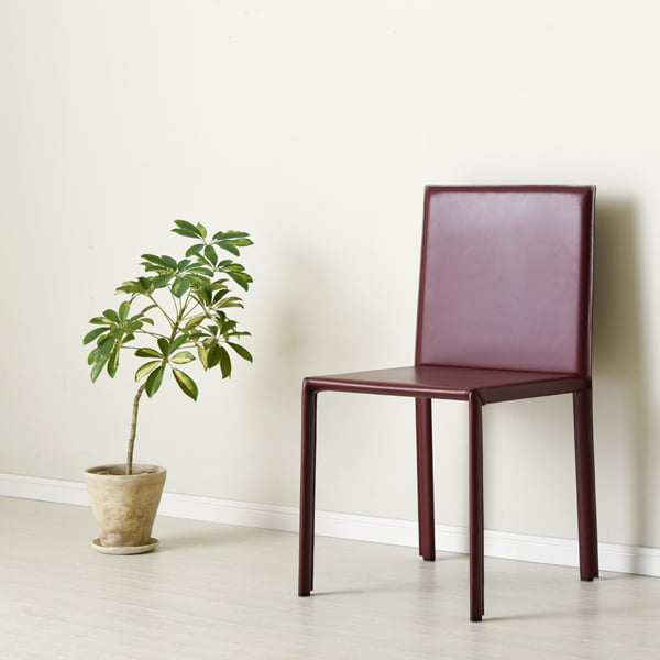 CH-0241の写真イメージ1