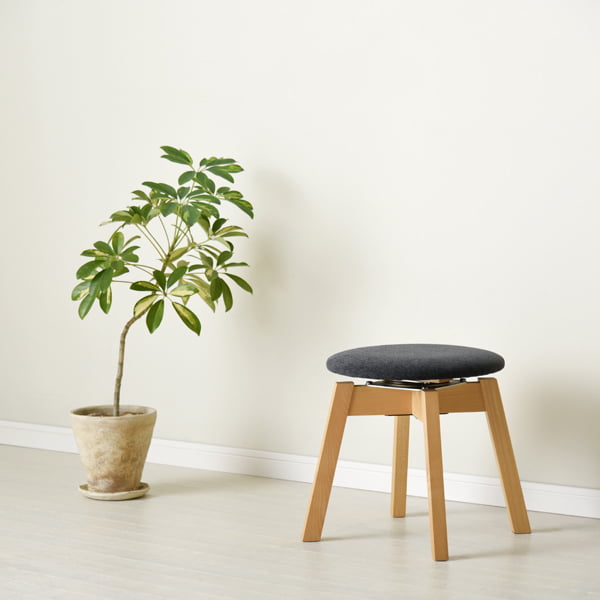 CH-0281の写真イメージ2