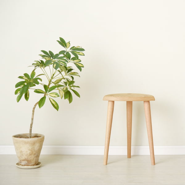 CH-0332の写真イメージ2