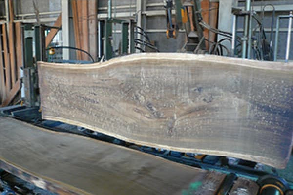 ウォールナット断面1