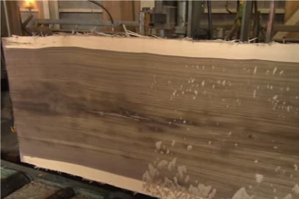 ウォールナット断面2