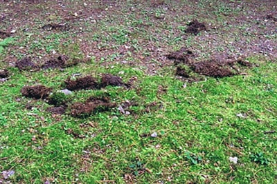 東京都T様 納品事例1