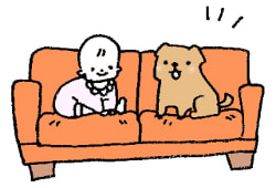 ソファイメージ