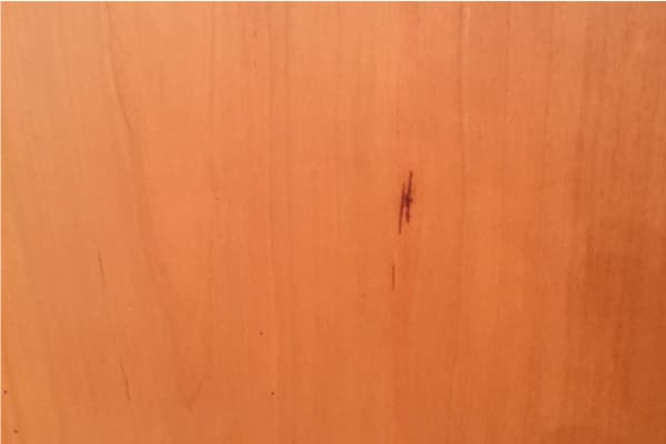 ガムポケット image