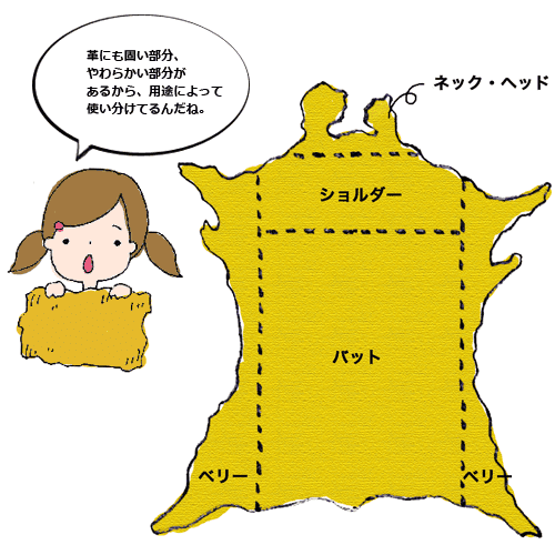 革の部位名