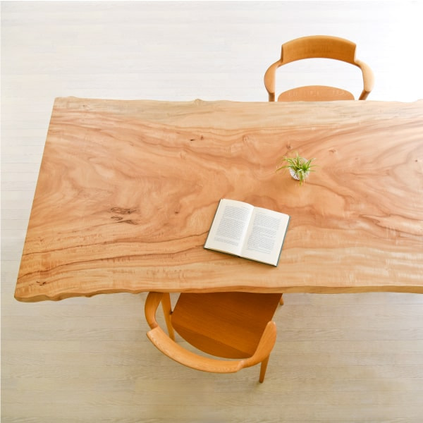 トチノキの魅力